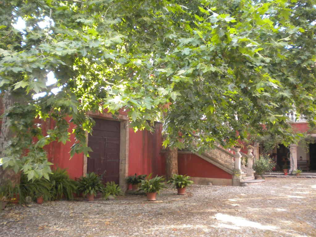 Casa Dos Vargos Bed & Breakfast Torres Novas Exterior foto